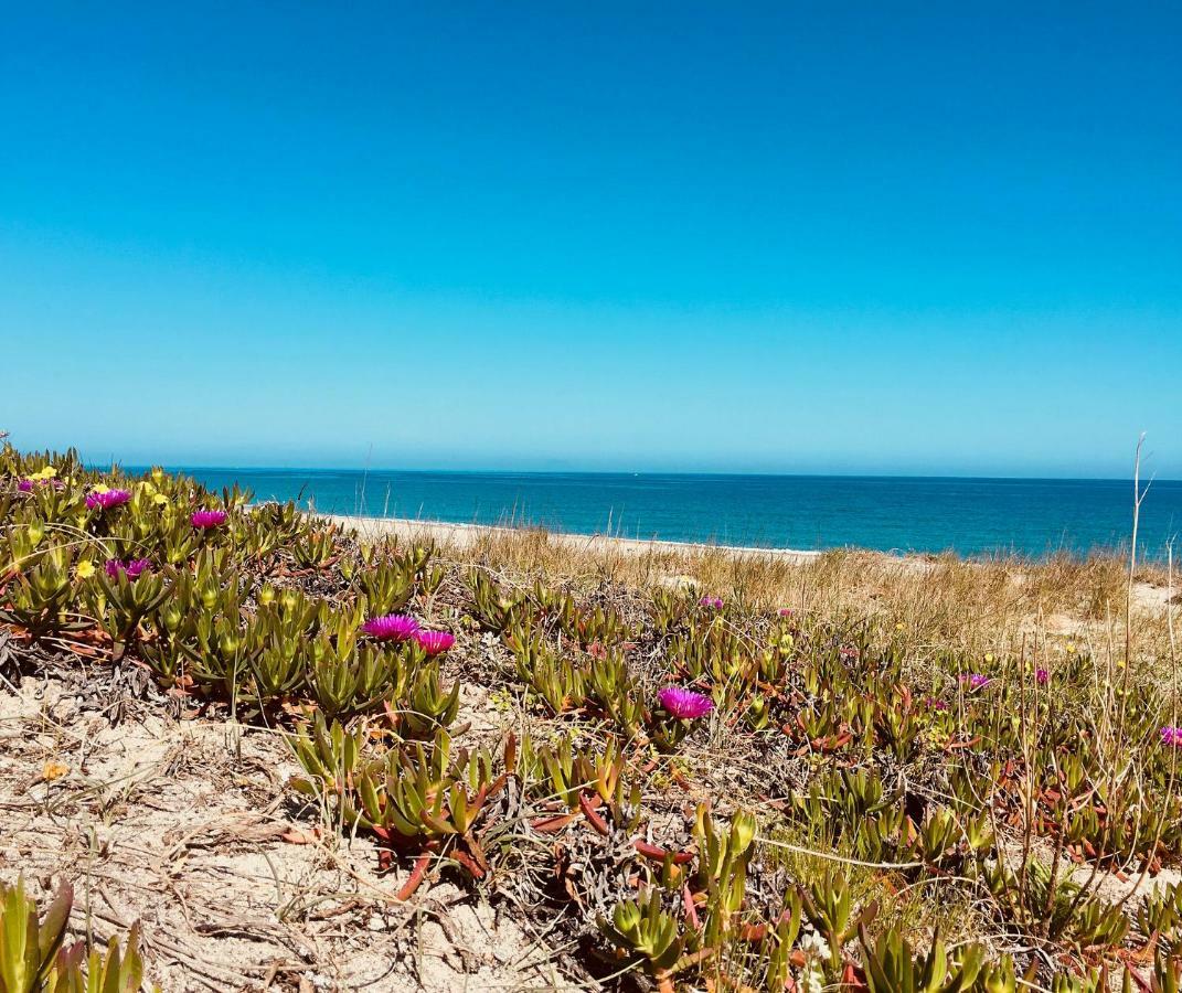 Casa Sulla Spiaggia- Mortelle メッシーナ エクステリア 写真
